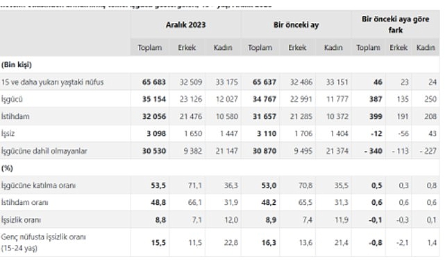TÜİK: Mevsim etkisinden arındırılmış işsizlik oranı %8,8 seviyesinde gerçekleşti