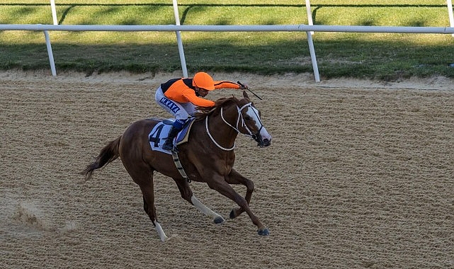 İzmir Büyükşehir Belediye Başkanlığı Koşusu’nu Wardenclyffe kazandı