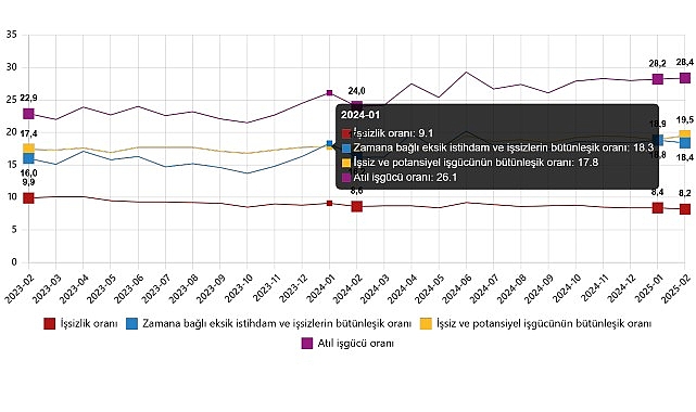 İşgücü İstatistikleri, Şubat 2025