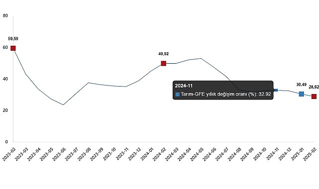 Tarımsal Girdi Fiyat Endeksi, Şubat 2025